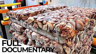 Inside The Pet Food Factory  ENDEVR Documentary [upl. by Aldous746]