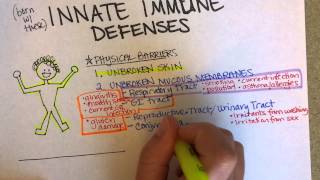 Innate Immunity Part 1 [upl. by Savior424]