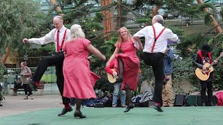 Feet First Appalachian Dance Team in Sheffield Winter Garden [upl. by Ammadas]