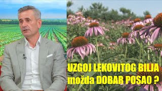 UZGOJ LEKOVITOG BILJA  od 0 do 2000 m nadmorske visine  SIGURAN OTKUP i semenski materijal [upl. by Reviere992]