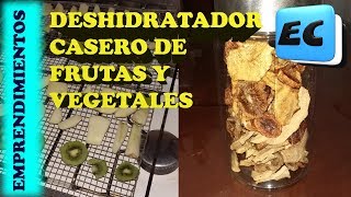 Deshidratador de frutas casero Emprendimiento rentable con baja inversion [upl. by Yettie]