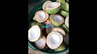 Simple operate coconut half cutting machine to easily get coconut watermachine coconutwater [upl. by Aimar694]