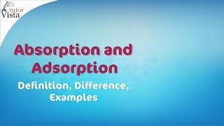 Absorption and Adsorption  Definition Difference Examples [upl. by Coletta895]