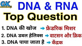 DNA amp RNA Top Question  Biology gk Question  RRB JE SSC [upl. by Nairadas]