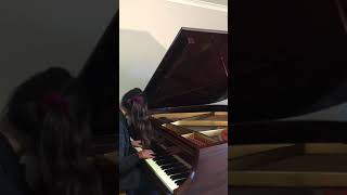 Amaranthe  Amaranthine Piano Cover [upl. by Eimmat]