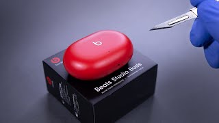 Beats Studio Buds Wireless Noise Cancelling Earbuds Unboxing  ASMR [upl. by Eldwin]