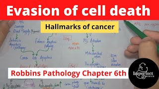 Evasion of Cell DeathCancer hallmarksRobbins Pathology chapter 6 lecturespathology neoplasia [upl. by Ariad]