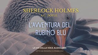 Sherlock Holmes Lavventura del Rubino Blu  AC Doyle  Audiolibro ITA [upl. by Buzz]