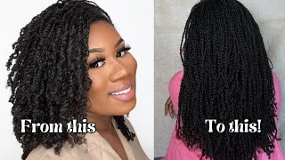 HOW MINI TWISTS GREW MY HAIR TO TAILBONE MY TOP HAIR GROWTH TIPS [upl. by Redep354]