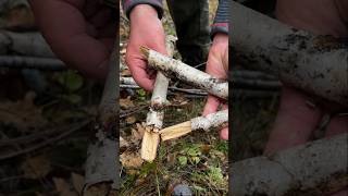 Survival Skills How to Start a Fire with Wet Wood survival camping ca lifehacks [upl. by Anitaf]