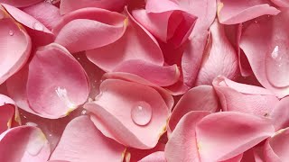 Eau de rose du jardin diy à faire soi même avec des pétales de roses très facile à faire [upl. by Anada]