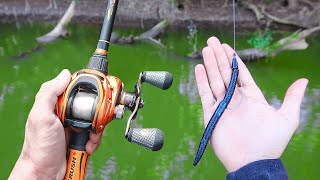 Catch 15x MORE Bass  TRY THIS Bass Fishing Tips [upl. by Smeaj]