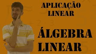 Introdução a Aplicação Linear e Matrizes [upl. by Leuams]