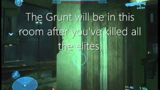 Halo Reach Easter Egg  The Cowardly Grunt [upl. by Towbin]