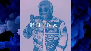 FREE Peewee Longway 2024 Type Beat  BURNA [upl. by Sabine]