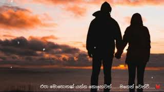 එපා මොහොතක් යන්න කොහෙවත්මගෙන් වෙන්ව💓 [upl. by Enyalb]