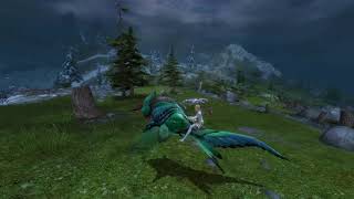 GW2 Magnificent Hummingbird Skimmer Skin 2000 gems [upl. by Kallista]