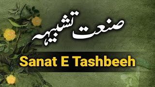 Sanat E Tashbeeh Example In Urdu  Arkan E Tashbeeh Aur Tareef  Urdu Grammar [upl. by Nnylsaj99]