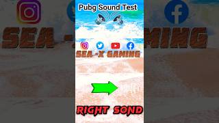 Left amp Right 🎧 Sound Test Bgmi Left Right Stereo Sound Test Pubg P2 [upl. by Erodasi]