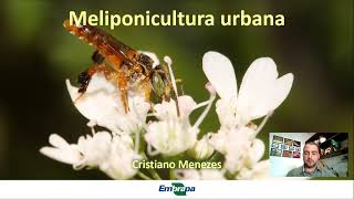 Meliponicultura urbana Introdução [upl. by Fulmis840]