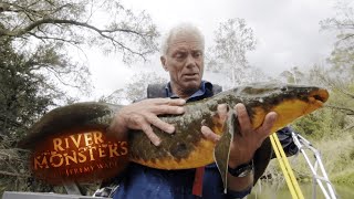 Handling Rare Australian Lungfish  River Monsters [upl. by Nehgaem803]