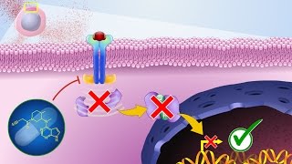 Mechanism of Action of JAK Inhibitors [upl. by Lain778]