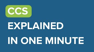 CCS Explained in One Minute [upl. by Akinek]