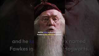 Top Dumbledore Quotes from Harry Potter  Wisdom and Magic [upl. by Anidam]