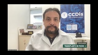 Transplante de fezes pode ser alternativa para pacientes com diarreia crônica [upl. by Ecirtnas]