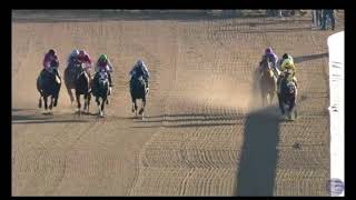 Aqueduct Racetrack Spill Dec 3 2021 Eighth Race [upl. by Balsam]