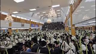 Hoshana Rabbah 2024 With Satmar Rebbe R’ Zalmen Leib [upl. by Annekcm65]