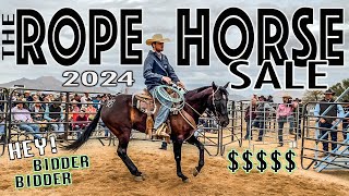 THE START OF HORSE SALE SEASON IN ARIZONA [upl. by Zetta453]