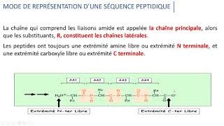 Les peptides [upl. by Antonin]