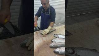 Amazing fillet fish [upl. by Wylen]