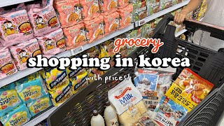 shopping in korea vlog 🇰🇷 grocery food haul 🍧 fruits snacks making summer dessert [upl. by Nwahsel413]