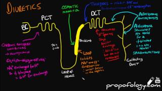 Diuretics in 3 Minutes Pharmacology [upl. by Herwig666]