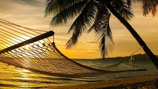 Guided Meditation Sleep Talk Down Sleeping Hammock Hypnosis for Sleep Relaxation [upl. by Htes623]