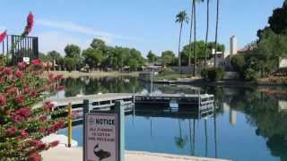 Dobson Ranch Mesa Homes for Sale [upl. by Zanze]