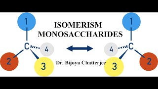 Isomerism in Monosachharides [upl. by Reinertson]