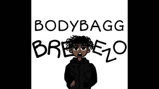 BODYBAGG BREEZO FREE REEK official audio [upl. by Eelam]