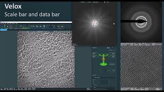 Scale and Data Bar Features in Velox how to use [upl. by Ecirtak969]