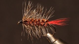 The Wooly Worm  1 In My Beginning Fly Tying Series [upl. by Sunday]