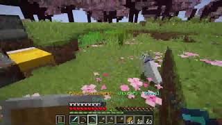 Minecraft Lonnyeto Towny Server currently not public [upl. by Ikilisav594]