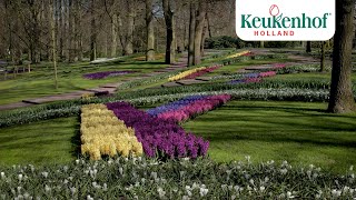 Enjoy the park  Keukenhof virtually open [upl. by Haleemaj]