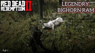 Red Dead Redemption 2  Bighorn Ram  Full Guide [upl. by Ayiak]