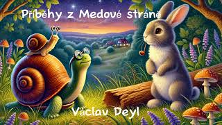 Příběhy z Medové stráně 🐌🐢 audiokniha  Václav Deyl  četba pro děti na pokračování 1 kapitola [upl. by Ygief]