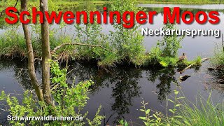 Schwenninger Moos Neckarursprung [upl. by Barkley]