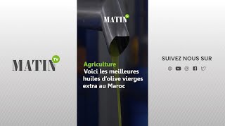 Agriculture  Voici les meilleures huiles dolive vierges extra au Maroc [upl. by Annoirb]