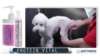 Acondicionador para perros Artero Protein Vital [upl. by Meris420]