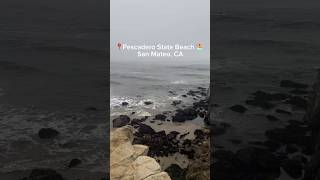 Pescadero State Beach San Mateo CA beach nature beachlife beachvibes [upl. by Bruckner]